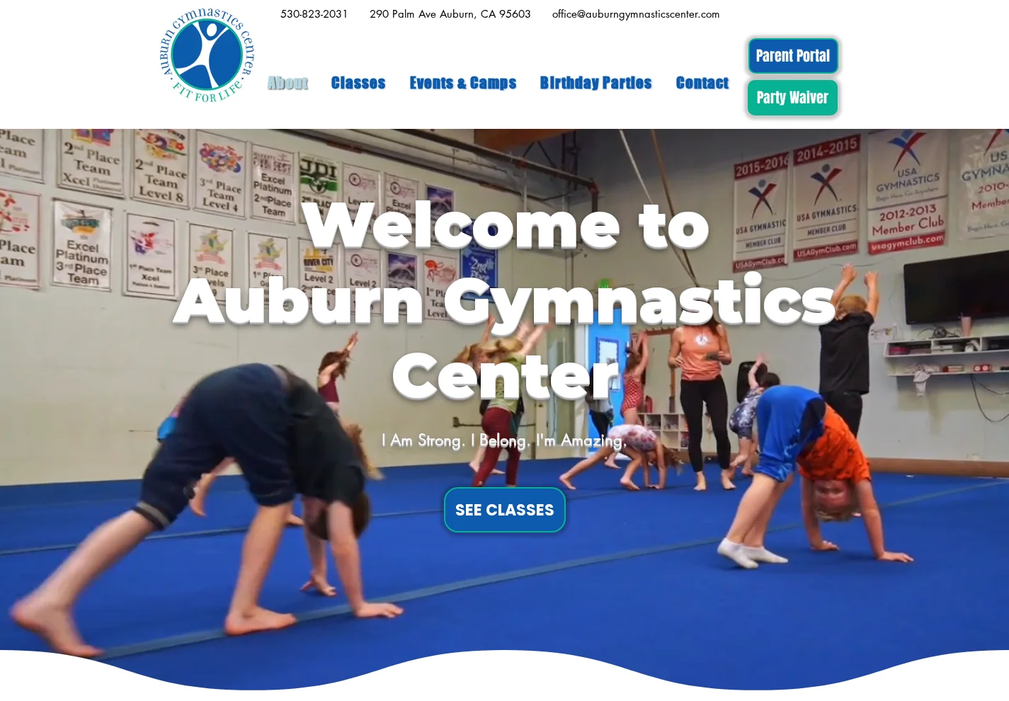 Auburn Gymnastics Center website on desktop